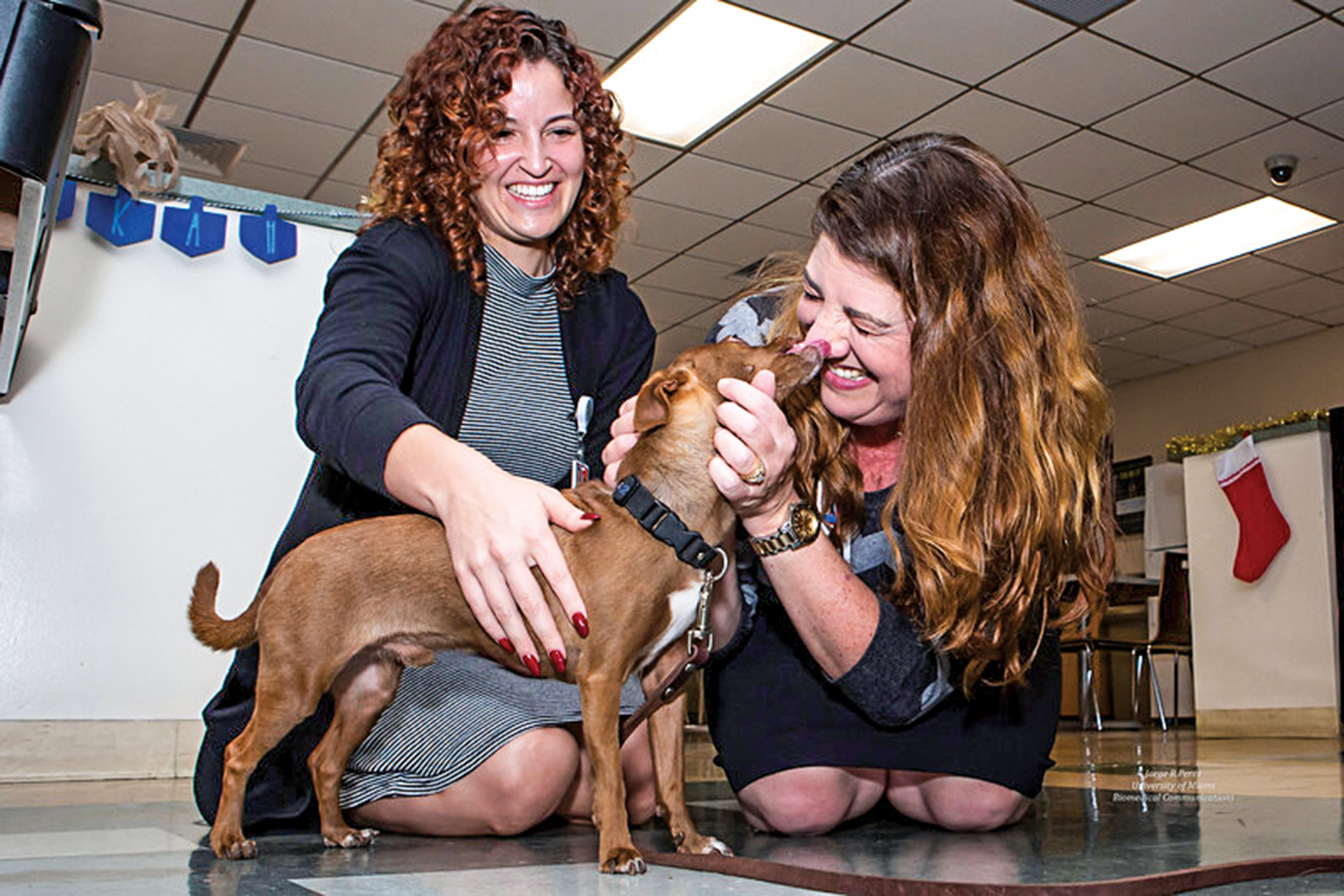 Therapy Dogs Give Miller School Students a Joyful Break