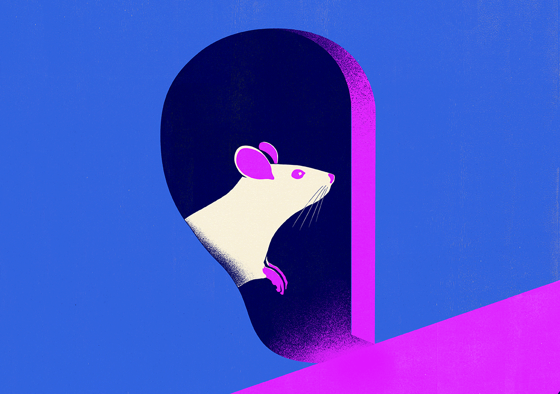 Animation of an illustration of mouse