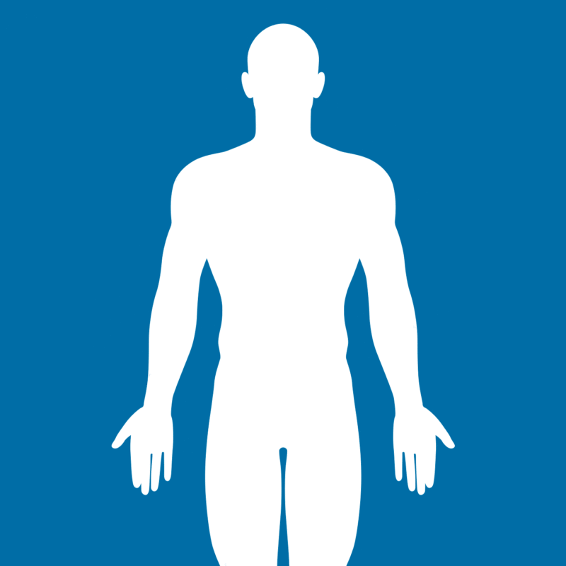 Illustration of a human body gradually filling up with plastic items
