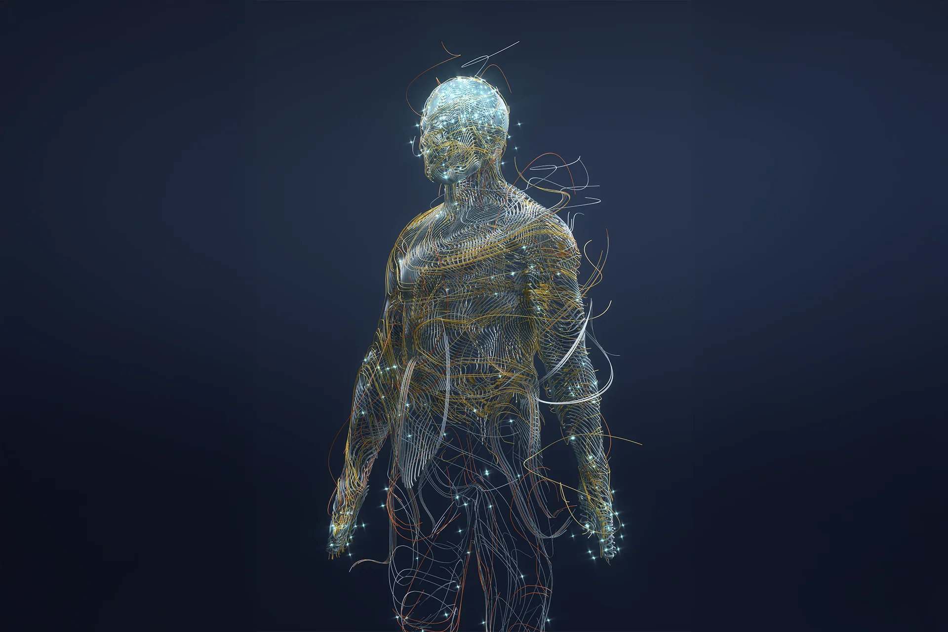 The Mind-Body Connection