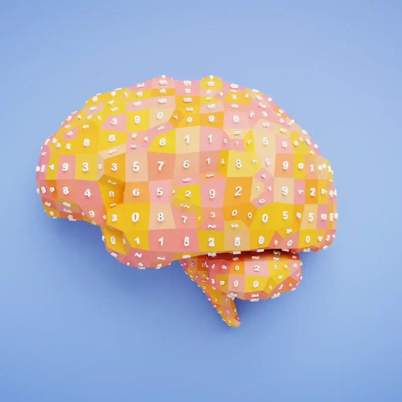 Image of a brain in the shape of a puzzle